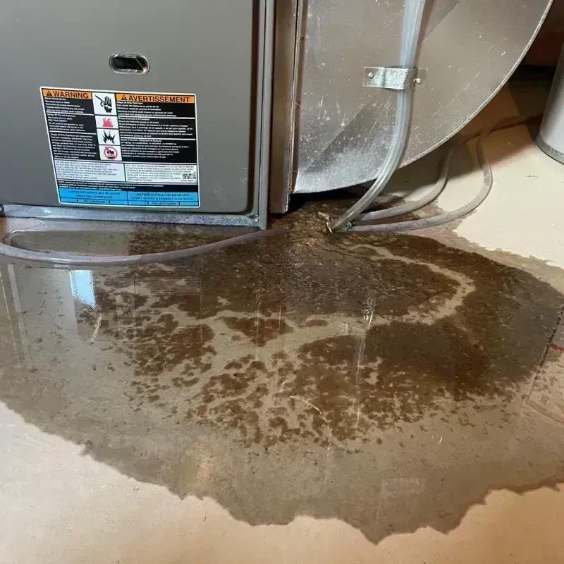 Appliance Leak Cleanup in Macon, IL